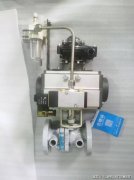 彼时的排行榜评选标准更侧重于市场份额与产能