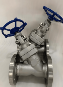 止回阀因其可靠的单向流动特性