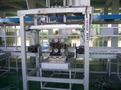 具有相当规模的生产能力